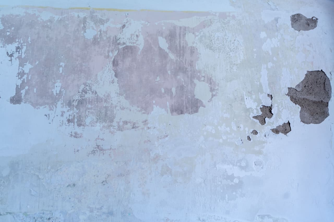 Interior water damage and moisture staining that we document in full